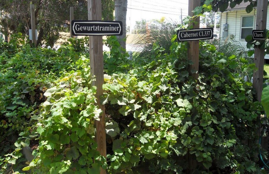 More Photos Of 706 Bradford Ave, Kemah Land For Sale