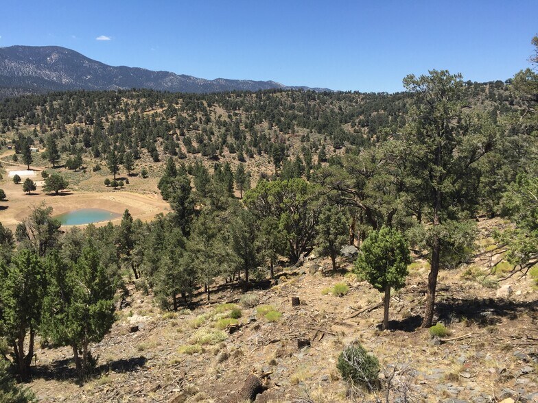More Photos Of 550 Eagle Rdg Ln, Big Bear Lake Land For Sale