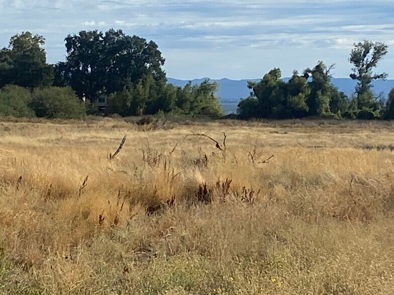 More Photos Of 2387-2420 Lakeshore Blvd, Nice Land For Sale