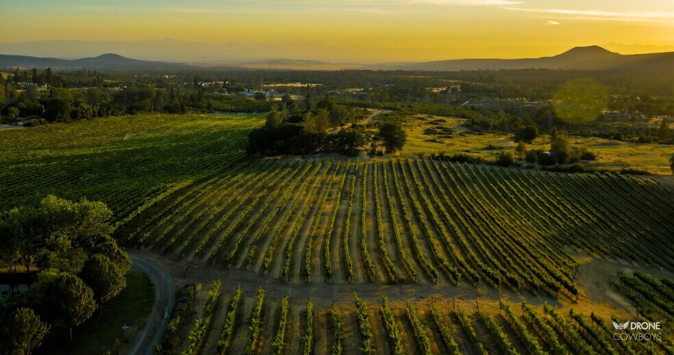 More Photos Of 31630 Forwards Rd, Manton Land For Sale