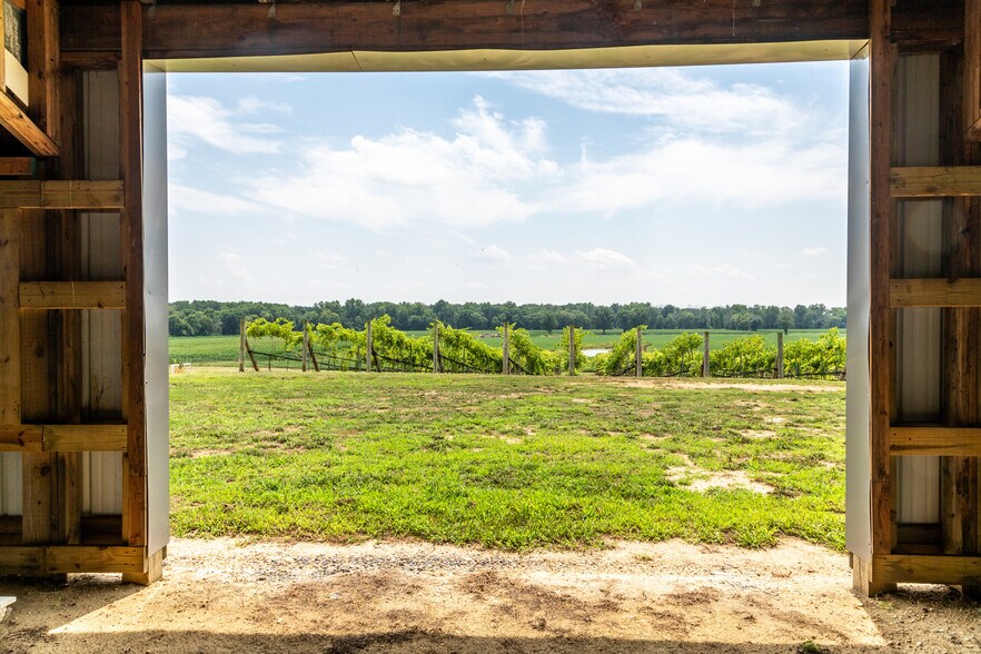 More Photos Of 27058 Mount Pleasant Rd, Columbus Winery Vineyard For Sale