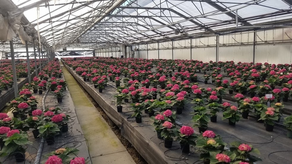 More Photos Of 2265 Cabrillo Hwy S, Half Moon Bay Land For Sale