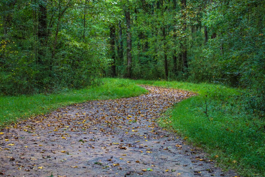 Primary Photo Of 13703 Timberline Rd, Highland Land For Sale