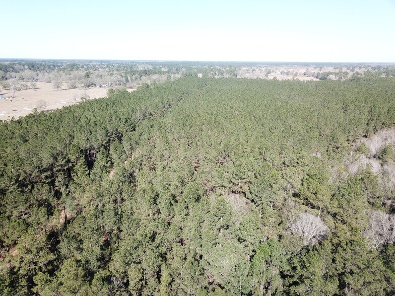 More Photos Of Corrigan Road, Vidor Land For Sale