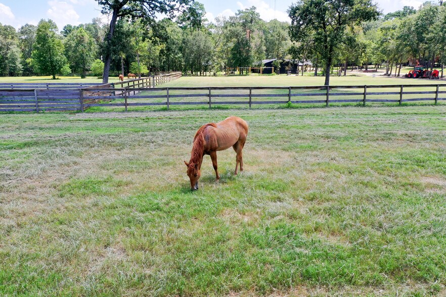 More Photos Of 19323 Belleau Wood Dr, Humble Flex For Sale
