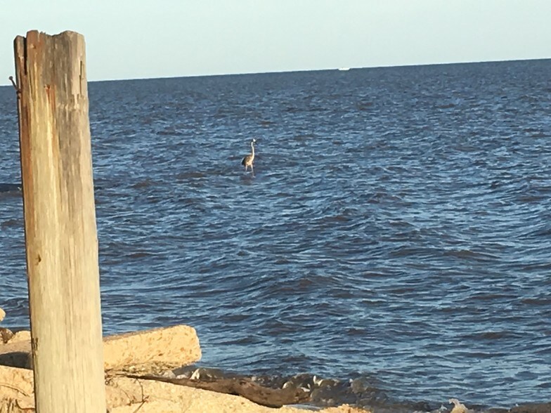 6109 Belle Fontaine Dr, Ocean Springs, MS 39564 Land For Sale