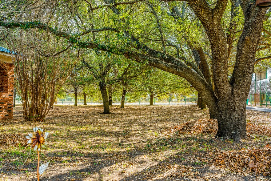 More Photos Of 14330 S Highway 281, Santo Trailer Camper Park For Sale