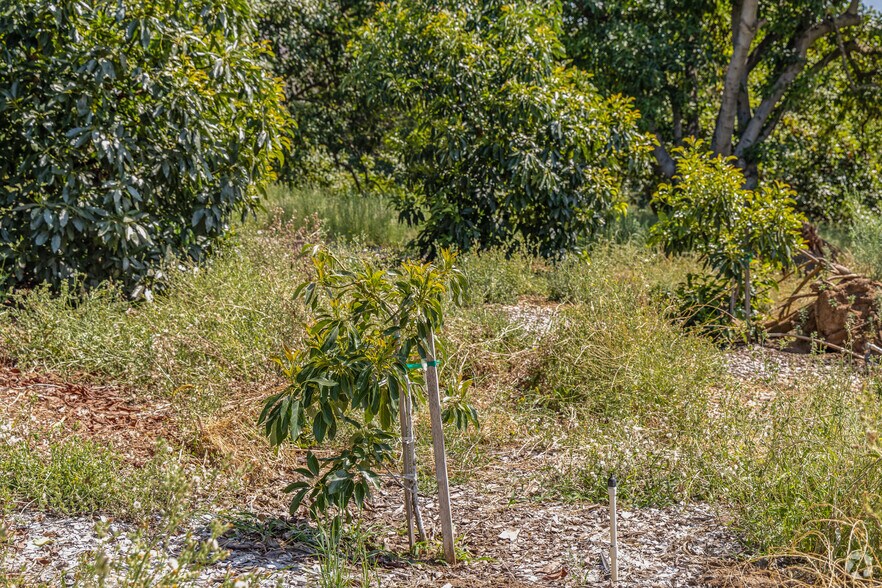 More Photos Of 36727 Muutama Ln, Valley Center Land For Sale