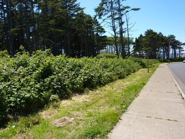 More Photos Of 4000 NW 40th St., Lincoln City Land For Sale