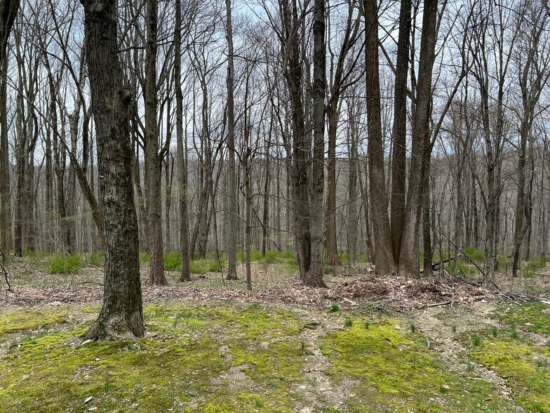 More Photos Of 3032 Manor St, Yorktown Heights Land For Sale