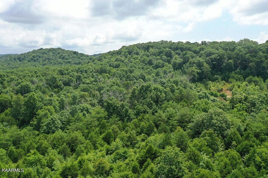 More Photos Of 220 Milldale Rd, Dandridge Land For Sale