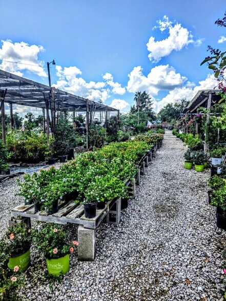 More Photos Of 20698 Eva St, Montgomery Garden Center For Lease