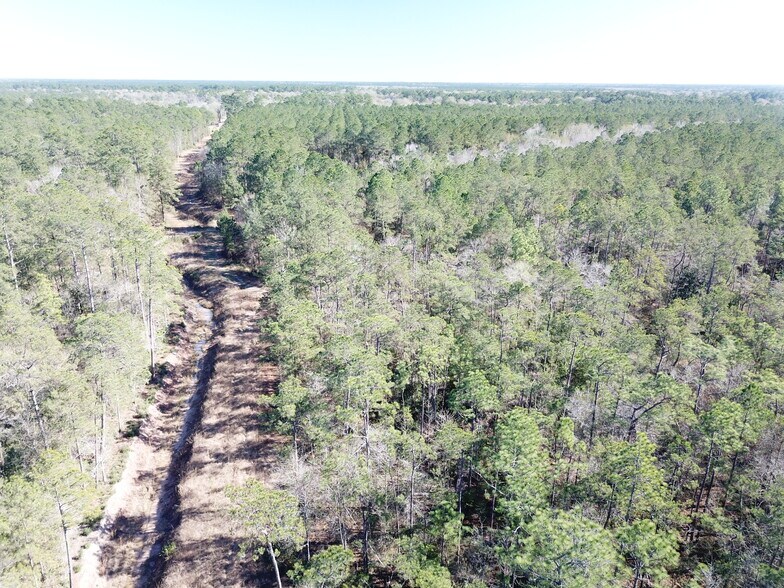 More Photos Of Corrigan Road, Vidor Land For Sale