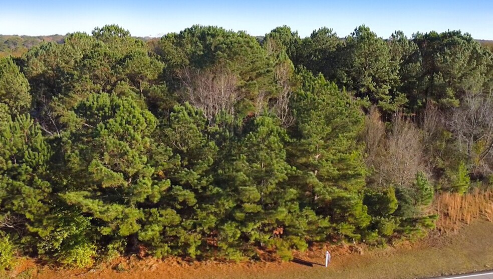 More Photos Of 0 McDonough Pky, McDonough Land For Sale
