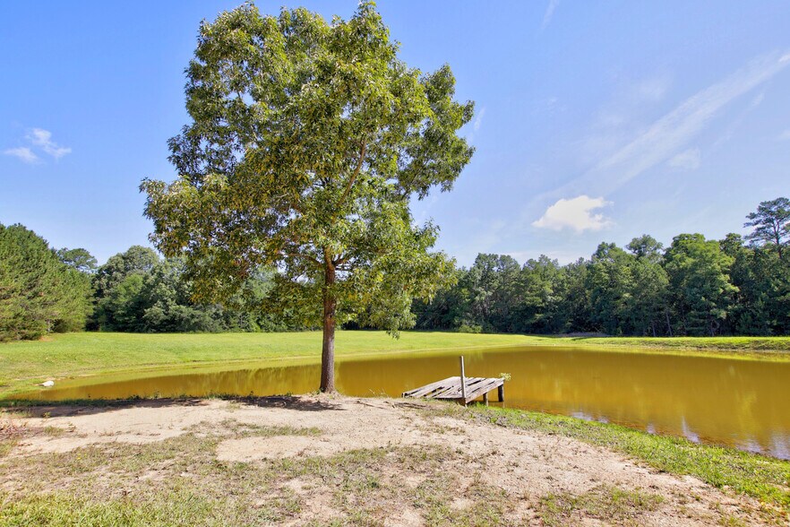 More Photos Of 3140 Highway 702, Chappells Land For Sale