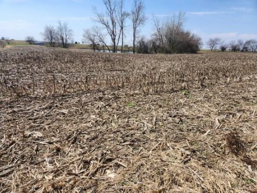 More Photos Of 0 Hanover, Carlock Land For Sale