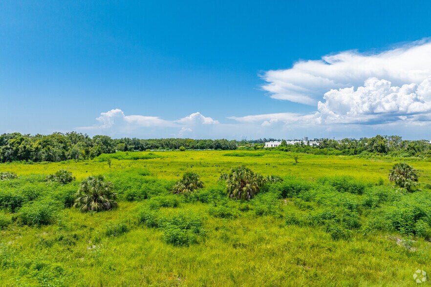 More Photos Of , Palmetto Land For Sale