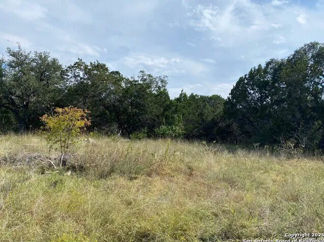 More Photos Of 296 Recreation Ln, Spring Branch Land For Sale
