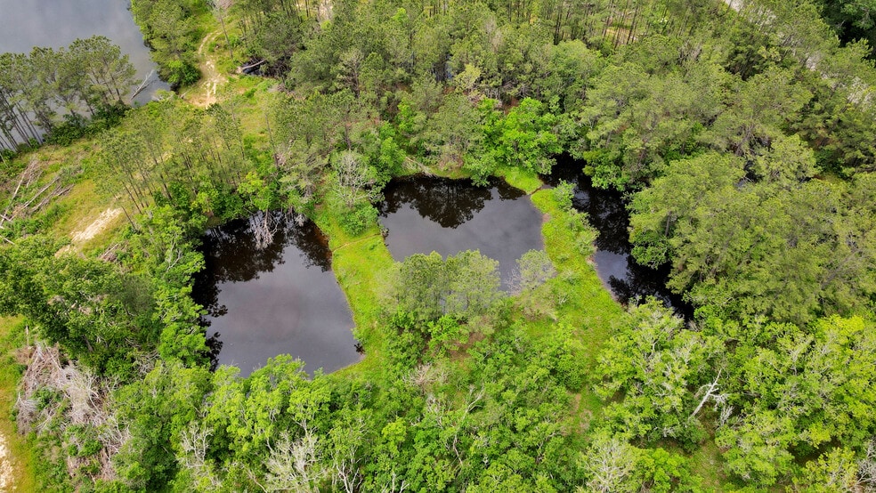 More Photos Of 12520 US-59, Shepherd Land For Sale