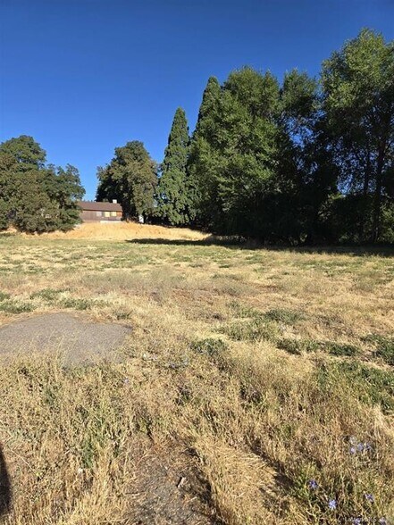 More Photos Of 1107 Main St, Susanville Land For Sale