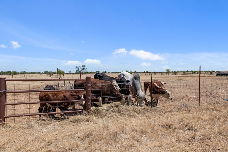 More Photos Of 1150 County Road 308, Jarrell Land For Sale