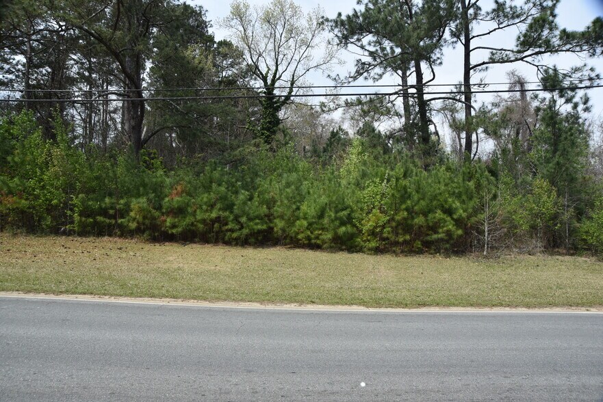 More Photos Of Warm Springs Rd @ GA-208, Waverly Hall Land For Sale