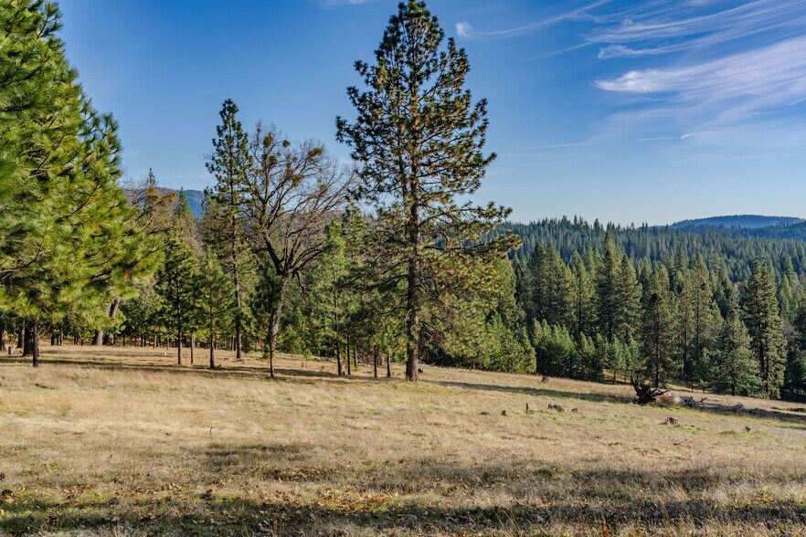 More Photos Of 7401 Schaad Rd, Wilseyville Land For Sale