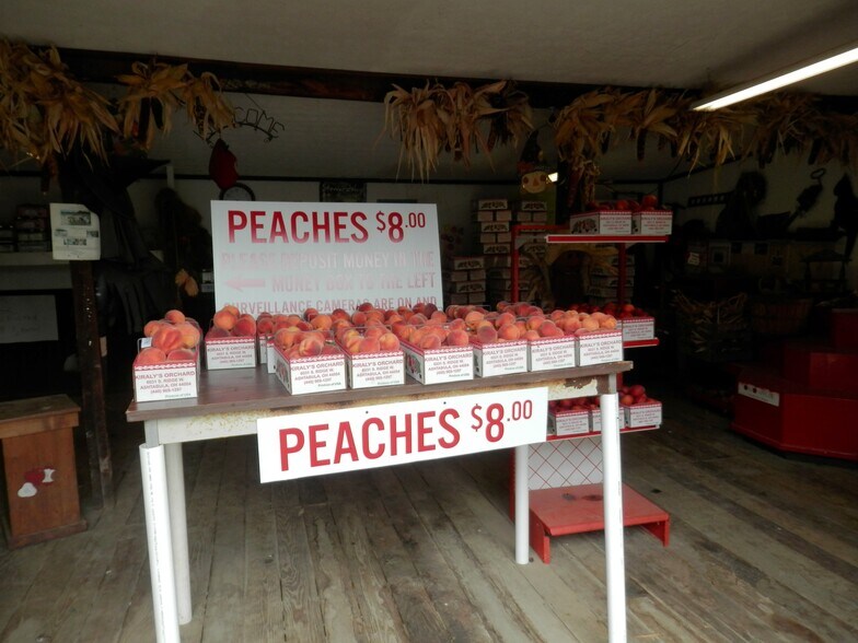 More Photos Of 6031 S Ridge Rd W, Ashtabula Specialty For Sale