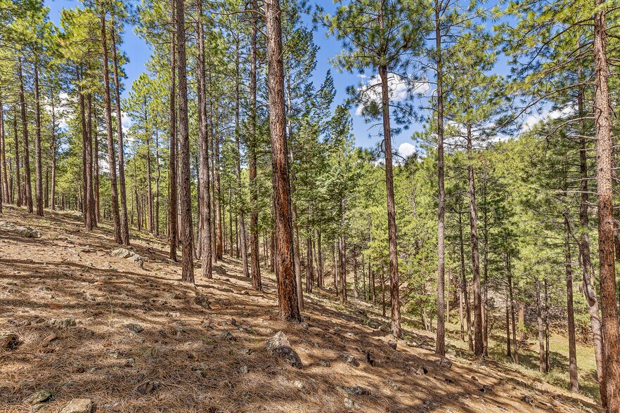 More Photos Of 2251 Kramer St, Flagstaff Land For Sale