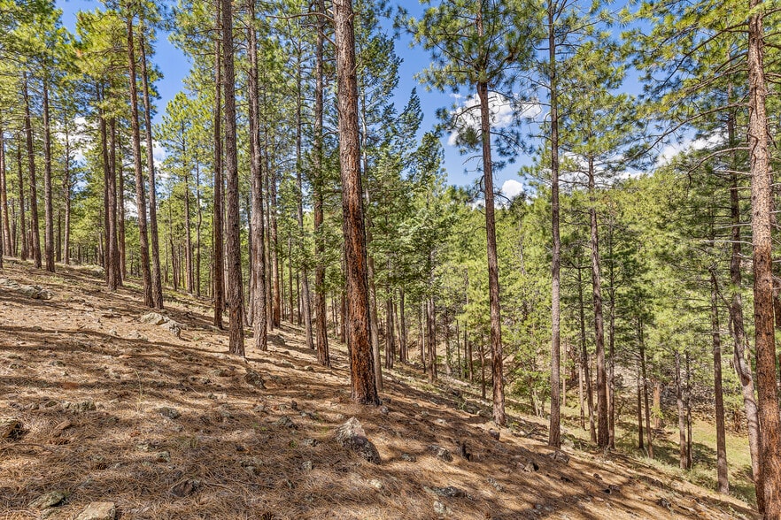 More Photos Of 2251 Kramer St, Flagstaff Land For Sale