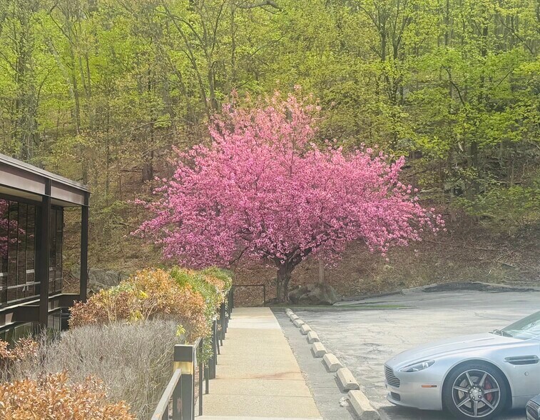 More Photos Of 555 Pleasantville Rd, Briarcliff Manor Village Coworking Space