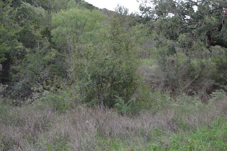 More Photos Of To be Determine RR 2241, Tow Land For Sale