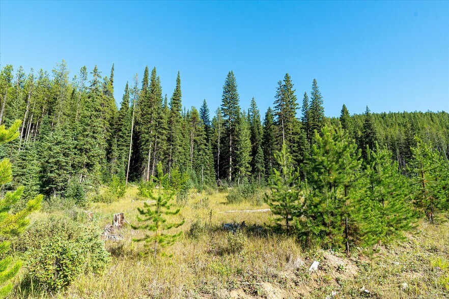 More Photos Of Nhn Logan Creek Road, Kila Land For Sale