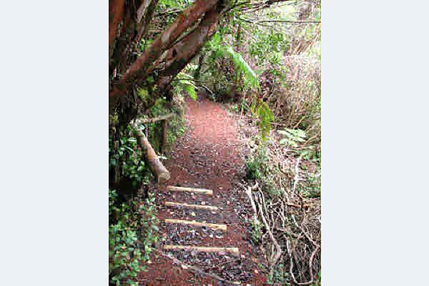 More Photos Of 27-5159 Puia Rd, Papaikou Land For Lease