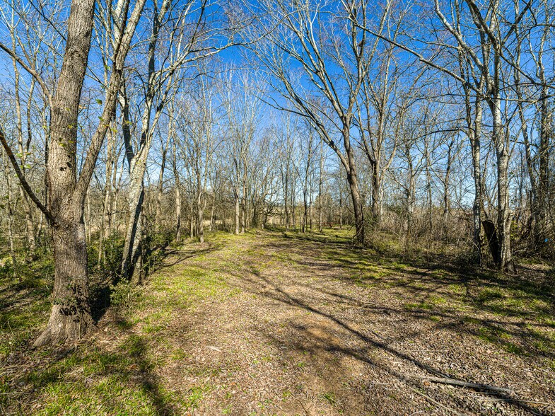 More Photos Of 11201 County Road 203, Plantersville Specialty For Sale