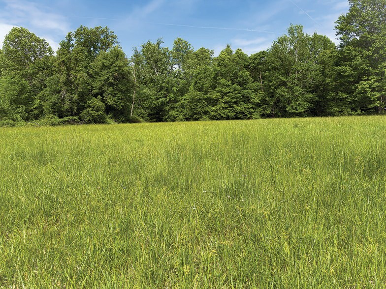 More Photos Of 2475 W County Road 1050 S, Cloverdale Land For Sale