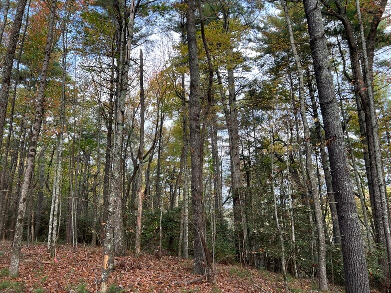 More Photos Of Whitecliff Drive, Ellijay Land For Sale