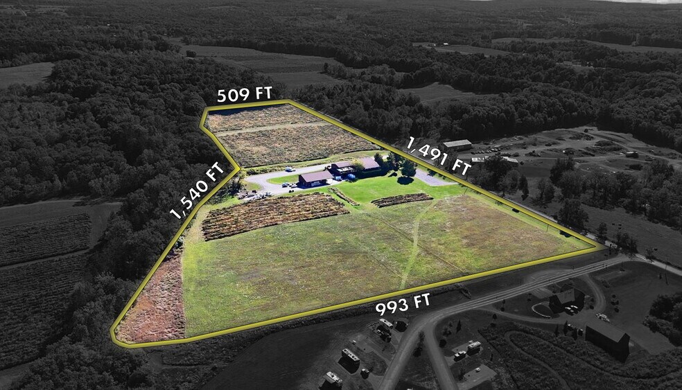 More Photos Of 3675 Tichenor Rd, Hector Winery Vineyard For Sale