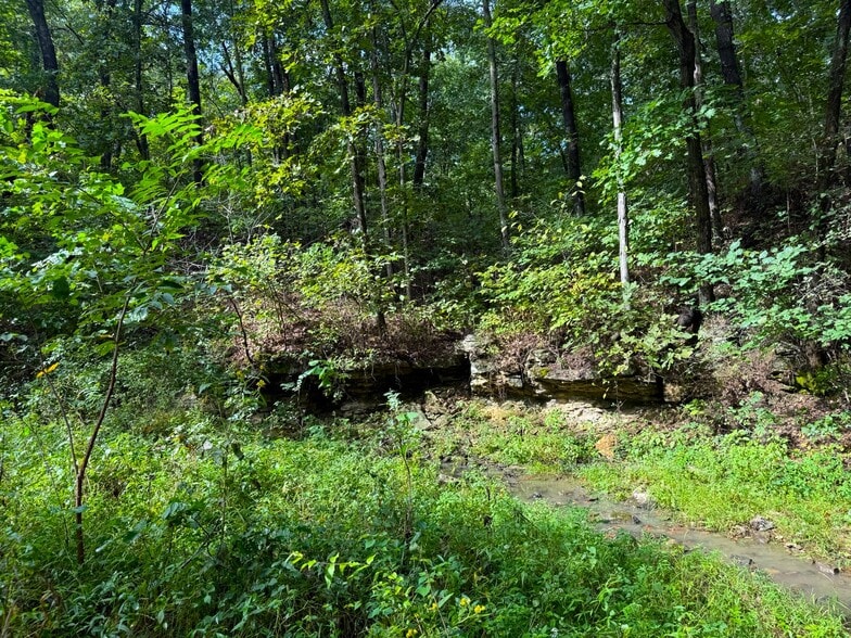More Photos Of 17660 Golden Rd, Linwood Land For Sale