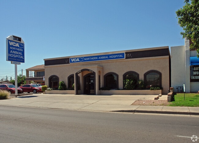 Veterinary Hospital Vca Ark Animal Ark Pet Clinic Ark Veterinary