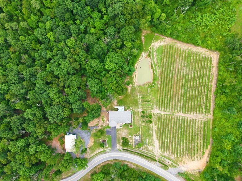 More Photos Of 1309 Redland Rd, Cross Junction Winery Vineyard For Sale