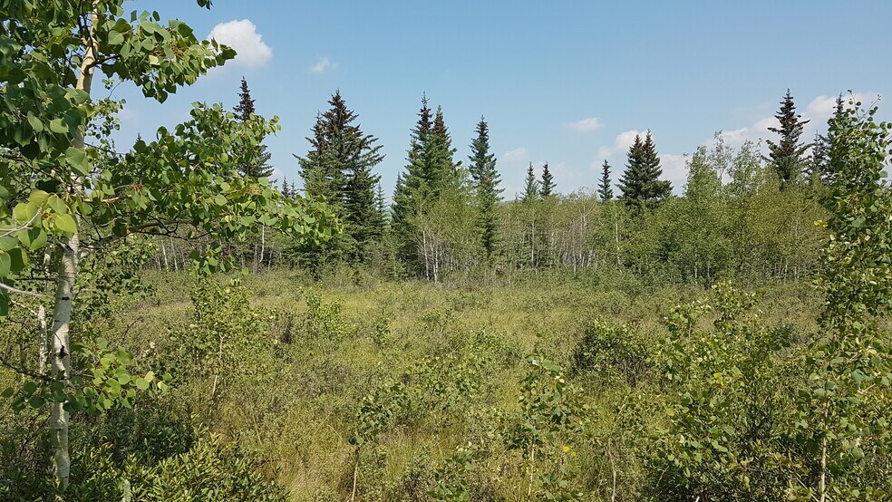 More Photos Of 1 Bow River, Rocky View No 44 Land For Sale