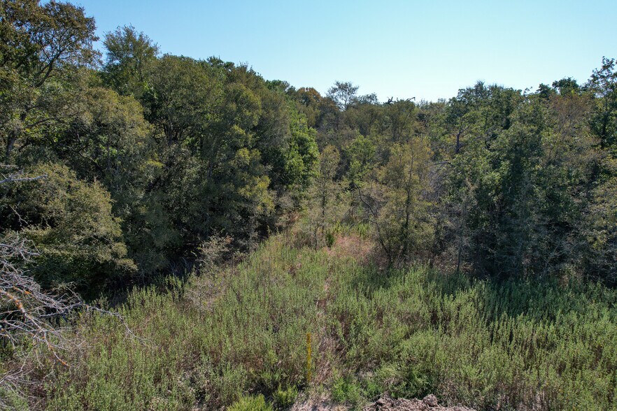 More Photos Of 0 Farm to Market 1246, Thornton Land For Sale