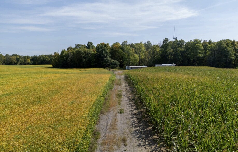 More Photos Of 138 Concession 5 Walpole, Jarvis Land For Sale