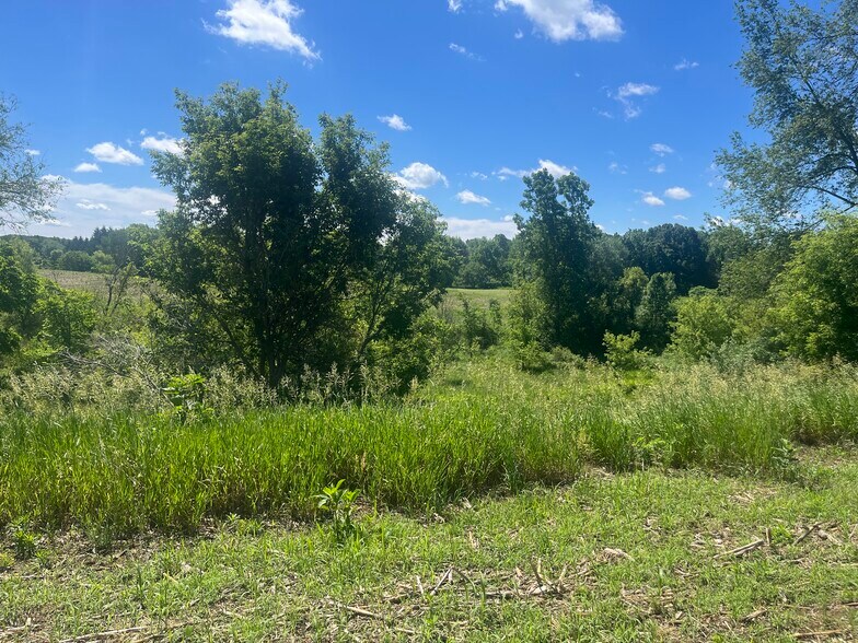 More Photos Of Fahrner Rd, Chelsea Land For Sale
