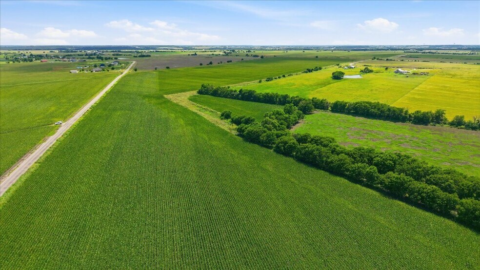 More Photos Of County Road 319, Granger Land For Sale
