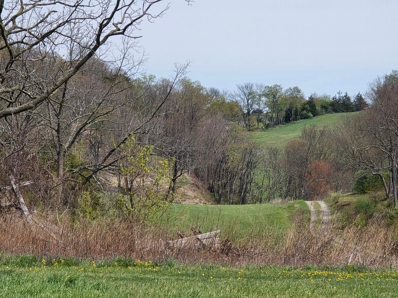 More Photos Of 505 Rt 565, Augusta Land For Sale