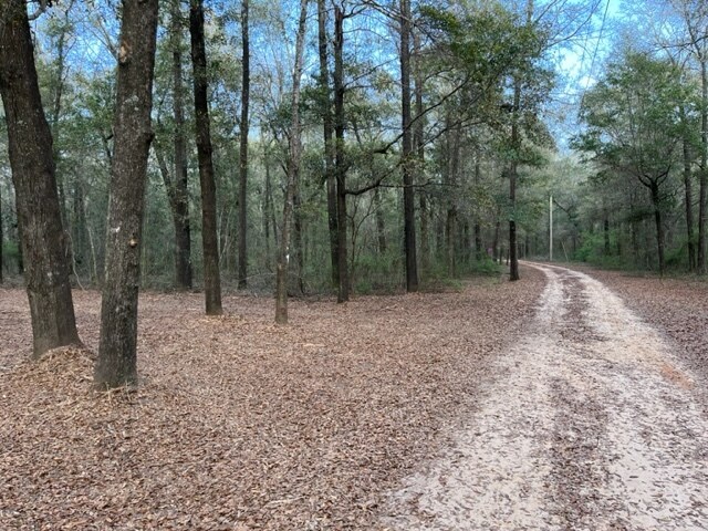 More Photos Of 4400 Garcon Point Road, Milton Land For Sale