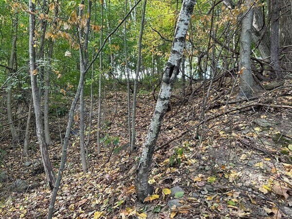 More Photos Of 160 Brookline St, Worcester Land For Sale