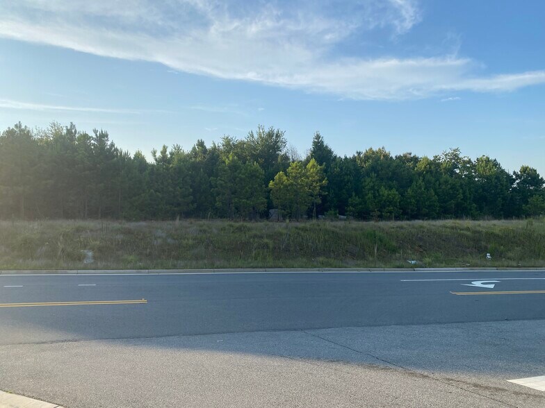 More Photos Of Charles Hardy Pkwy, Dallas Land For Sale